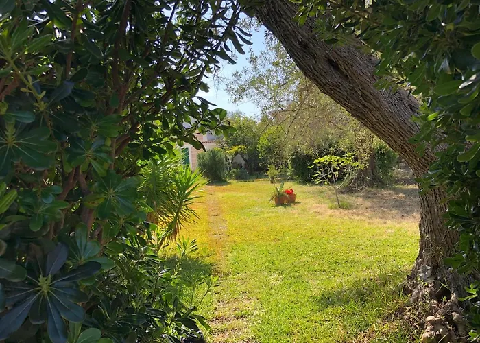 Amecasa אוגוסטה