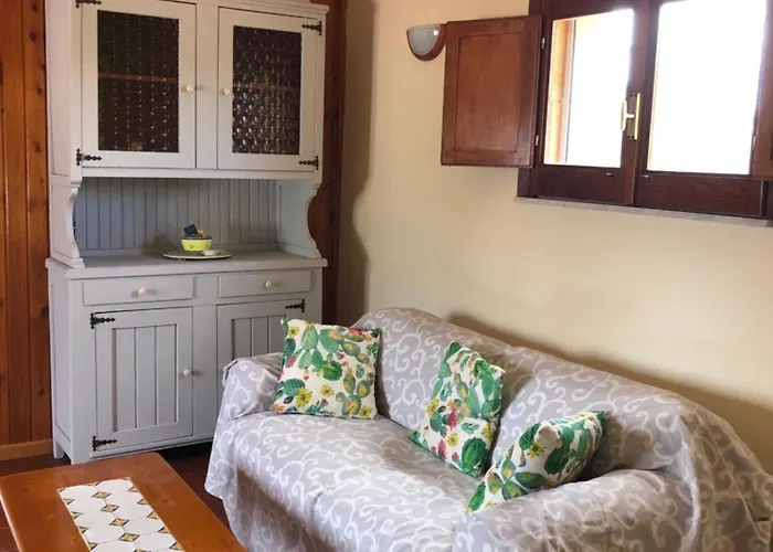 Amecasa * 奥古斯塔